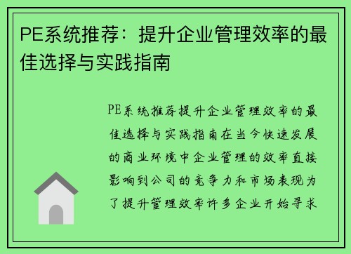 PE系统推荐：提升企业管理效率的最佳选择与实践指南